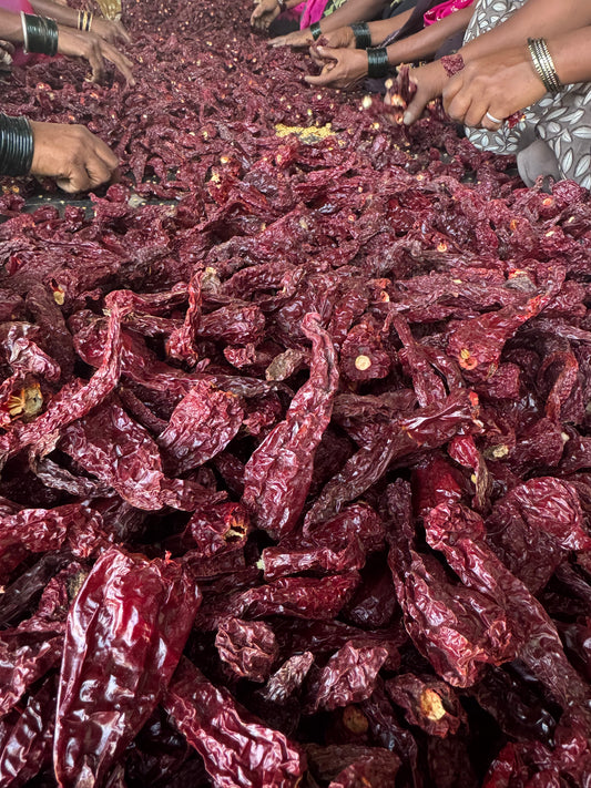 Kashmiri Chilli (Whole) Stemless, Best Grade Dabbi Variety, Pesticide Free, IPM Certified, Conformance to EU Standards, Single Origin (500gm)