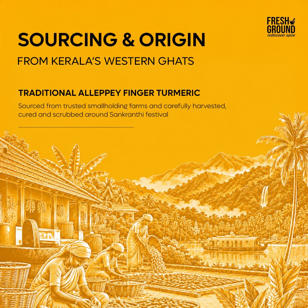 Alleppey Turmeric Powder (High Curcumin)
