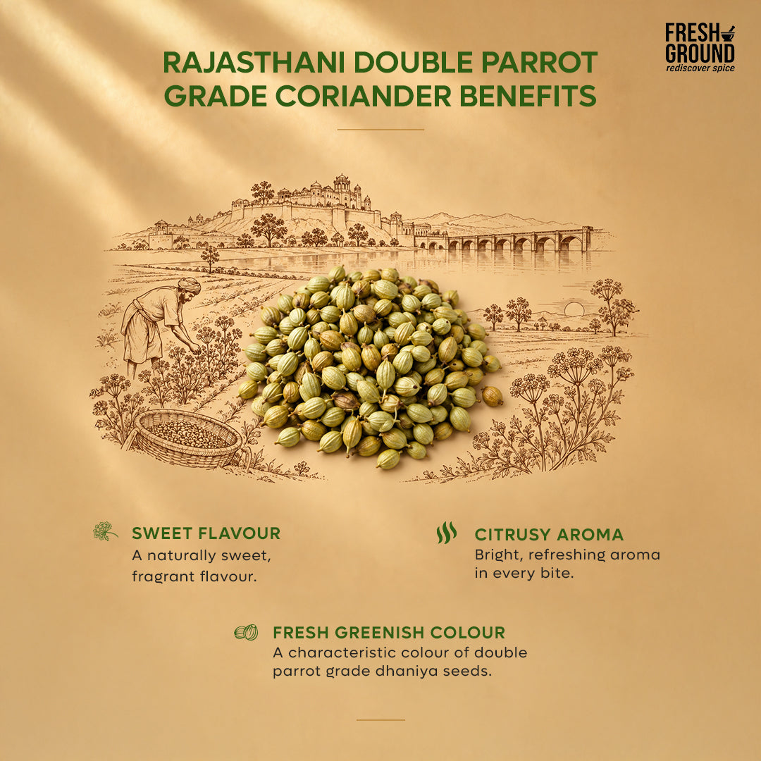 ರಾಜಸ್ಥಾನಿ ಕೊತ್ತಂಬರಿ ಪುಡಿ (ಗಿಳಿ ದರ್ಜೆ)